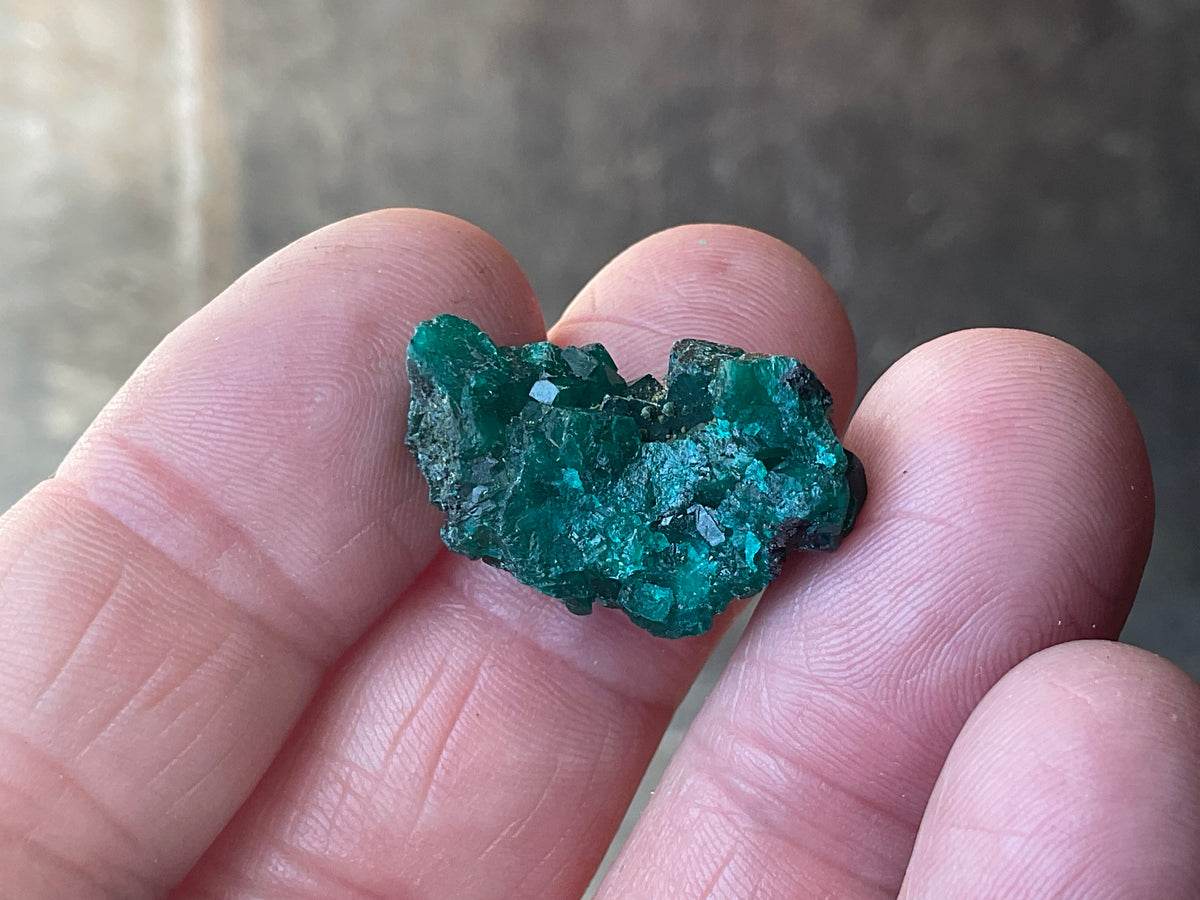 6g Congolese Dioptase Specimen 15B