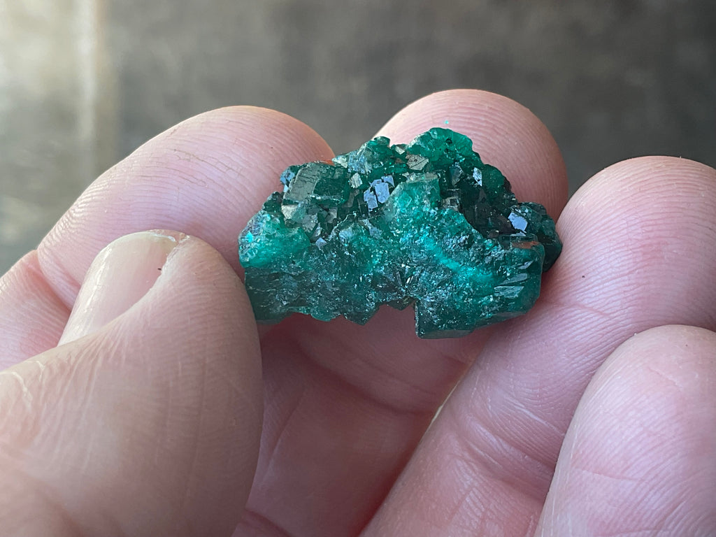6g Congolese Dioptase Specimen 15B