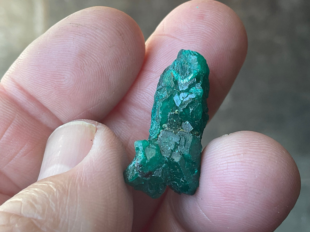 6g Congolese Dioptase Specimen 15B
