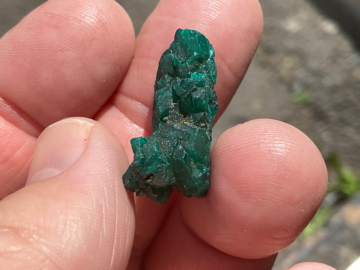 6g Congolese Dioptase Specimen 15B