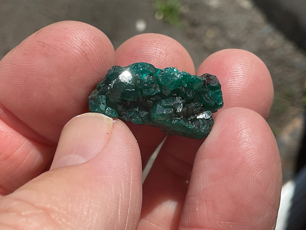 6g Congolese Dioptase Specimen 15B