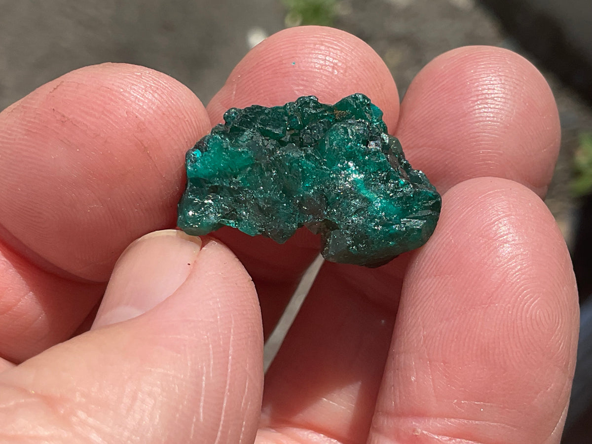 6g Congolese Dioptase Specimen 15B