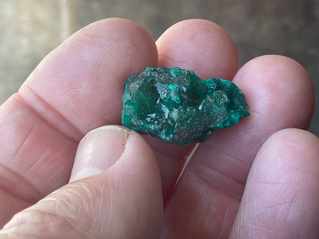 6g Congolese Dioptase Specimen 15C