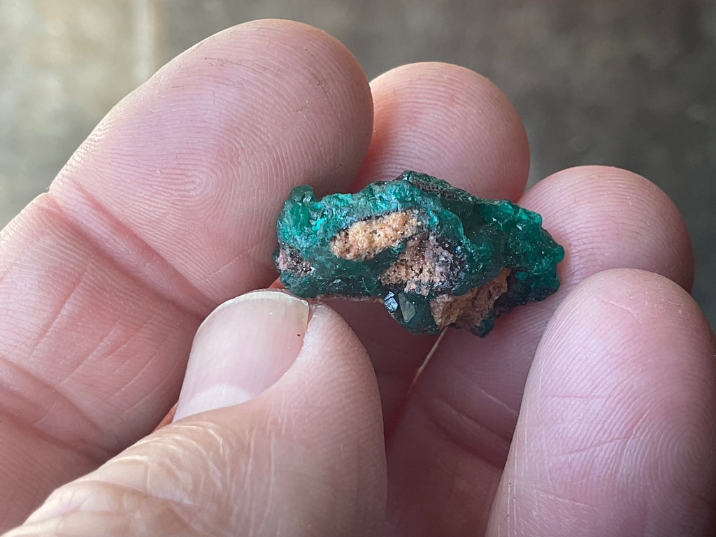 6g Congolese Dioptase Specimen 15C