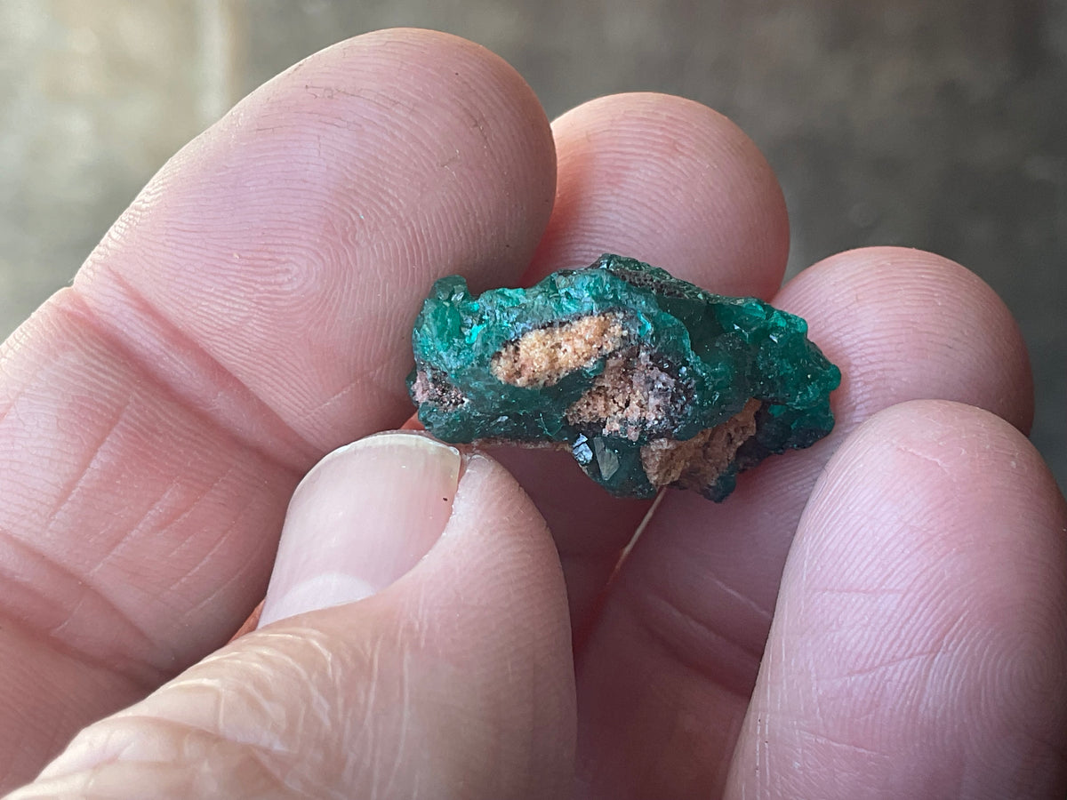 6g Congolese Dioptase Specimen 15C