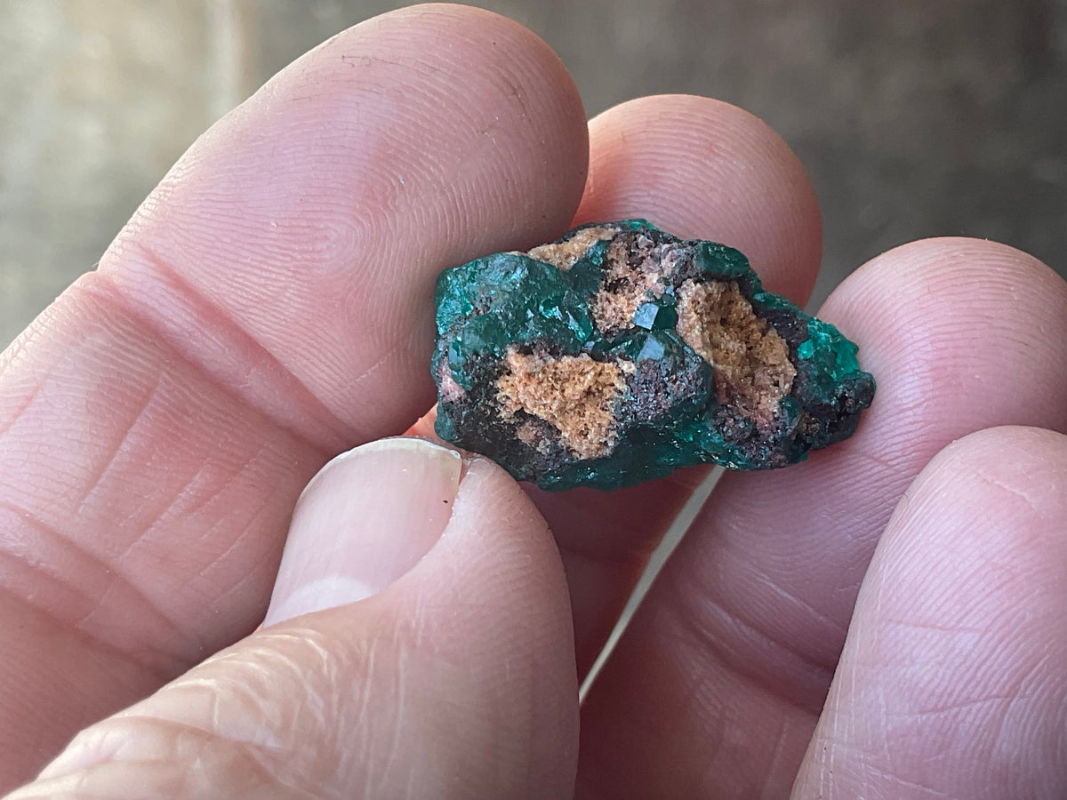 6g Congolese Dioptase Specimen 15C