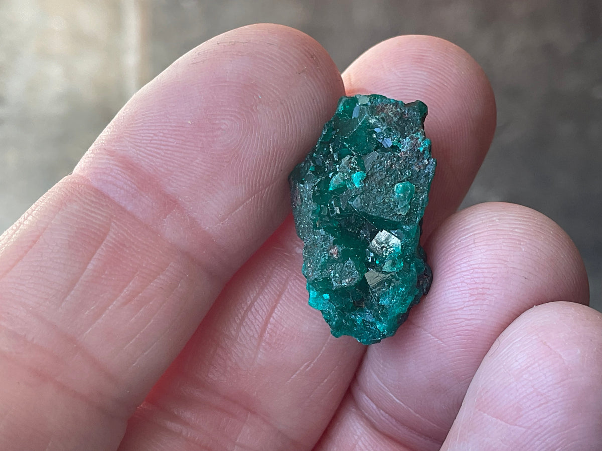 6g Congolese Dioptase Specimen 15C