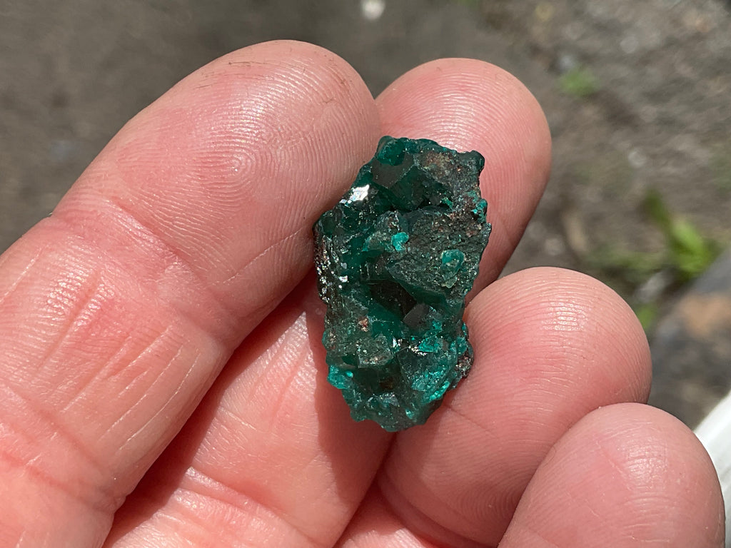 6g Congolese Dioptase Specimen 15C