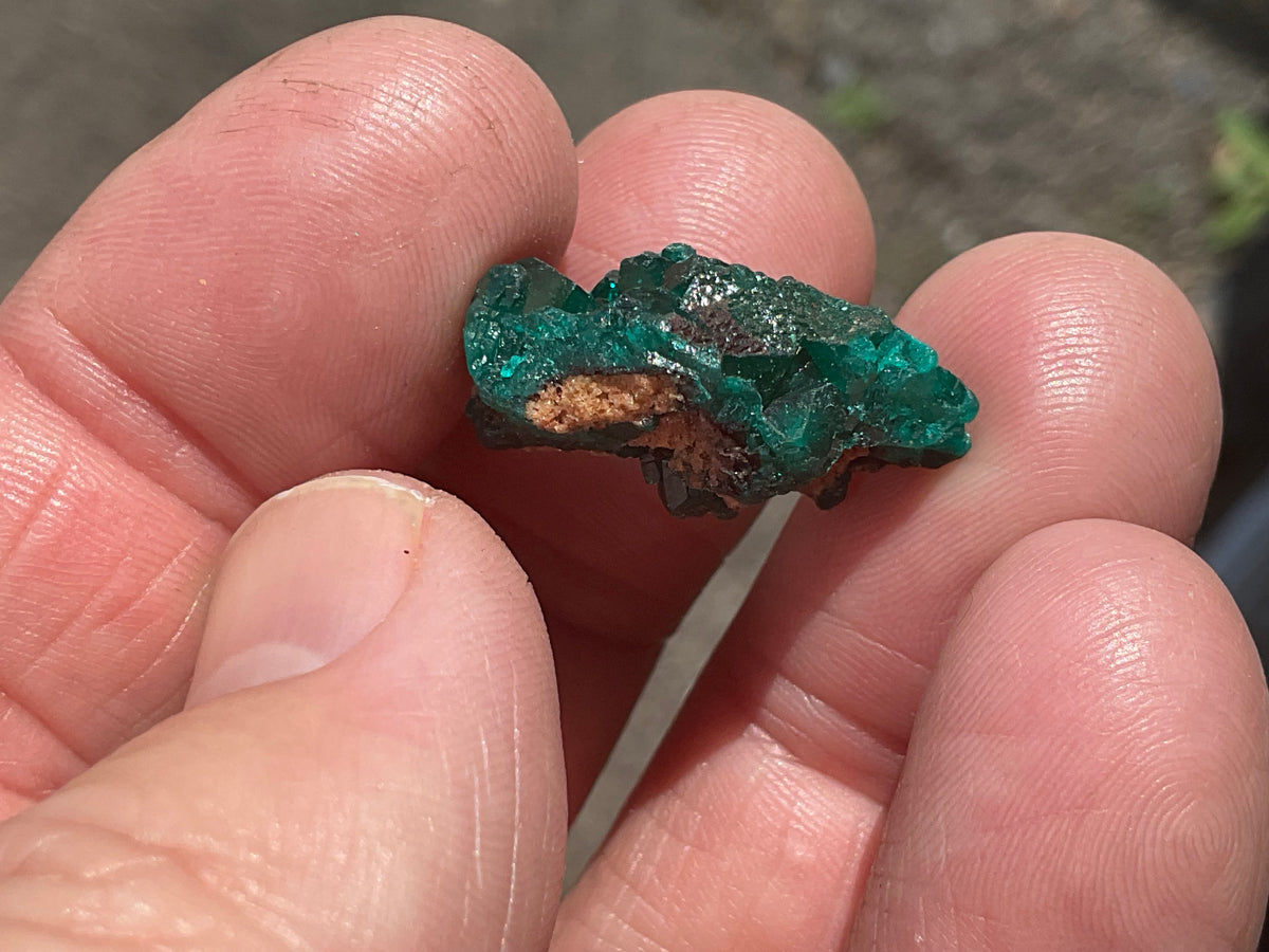 6g Congolese Dioptase Specimen 15C