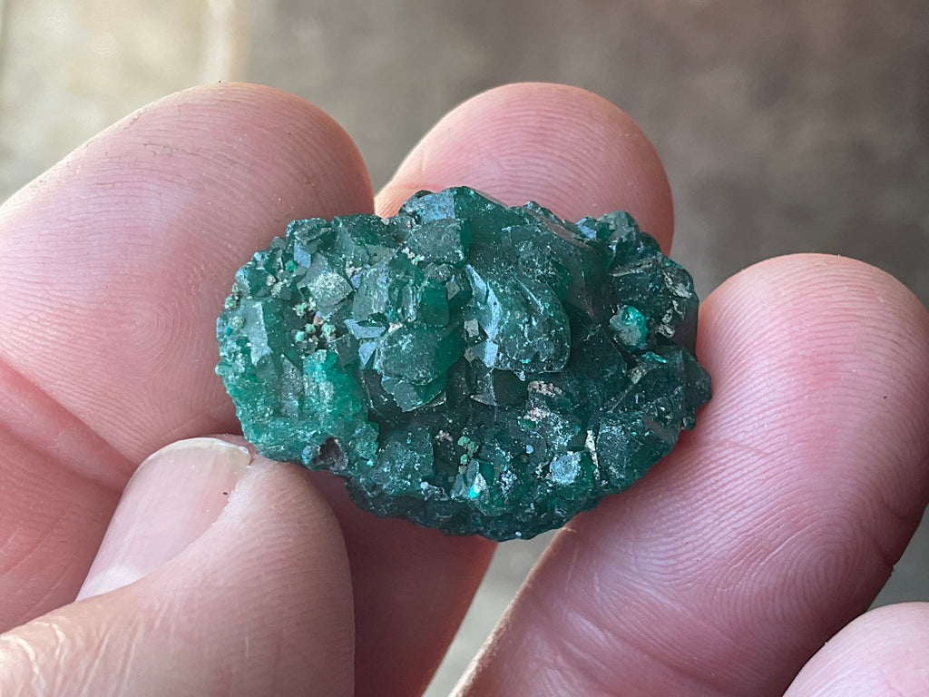 8g Congolese Dioptase Specimen 16A