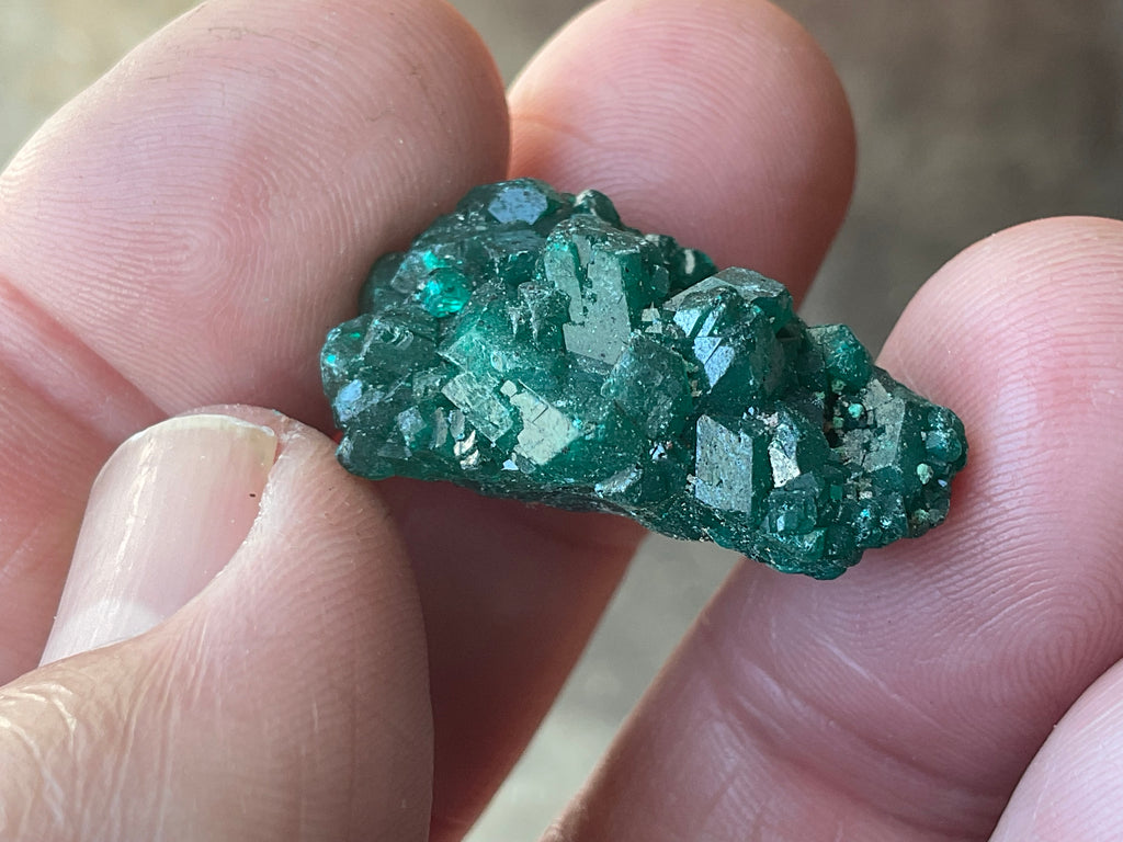 8g Congolese Dioptase Specimen 16A