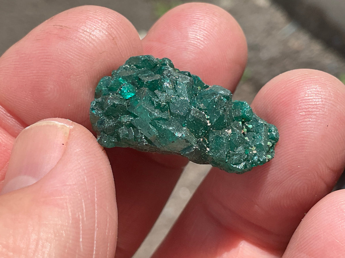 8g Congolese Dioptase Specimen 16A