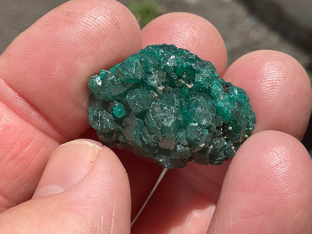 8g Congolese Dioptase Specimen 16A