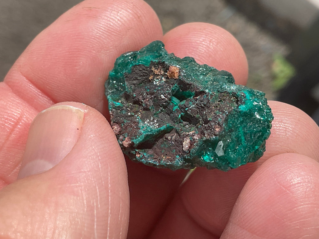 8g Congolese Dioptase Specimen 16A