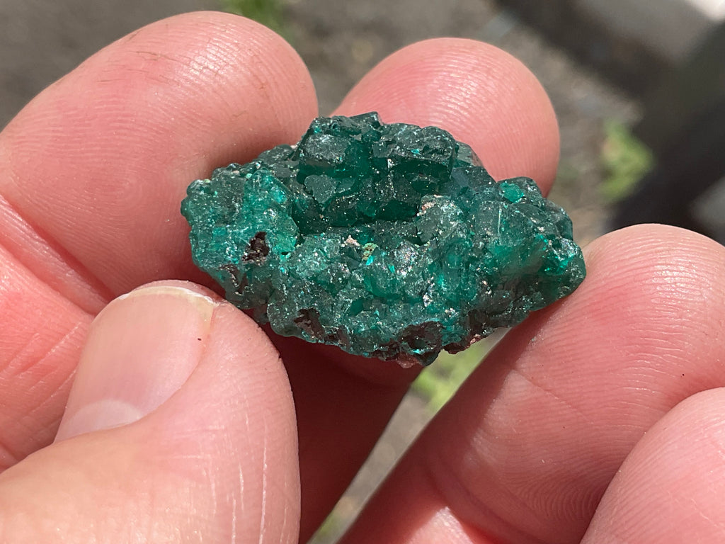 8g Congolese Dioptase Specimen 16A