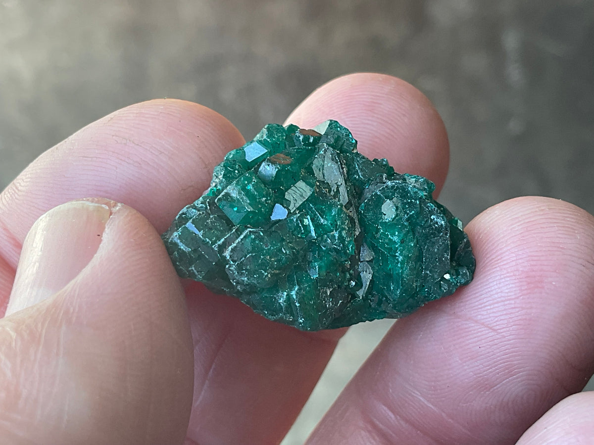 8g Congolese Dioptase Specimen 16B