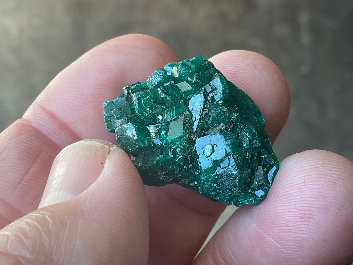8g Congolese Dioptase Specimen 16B