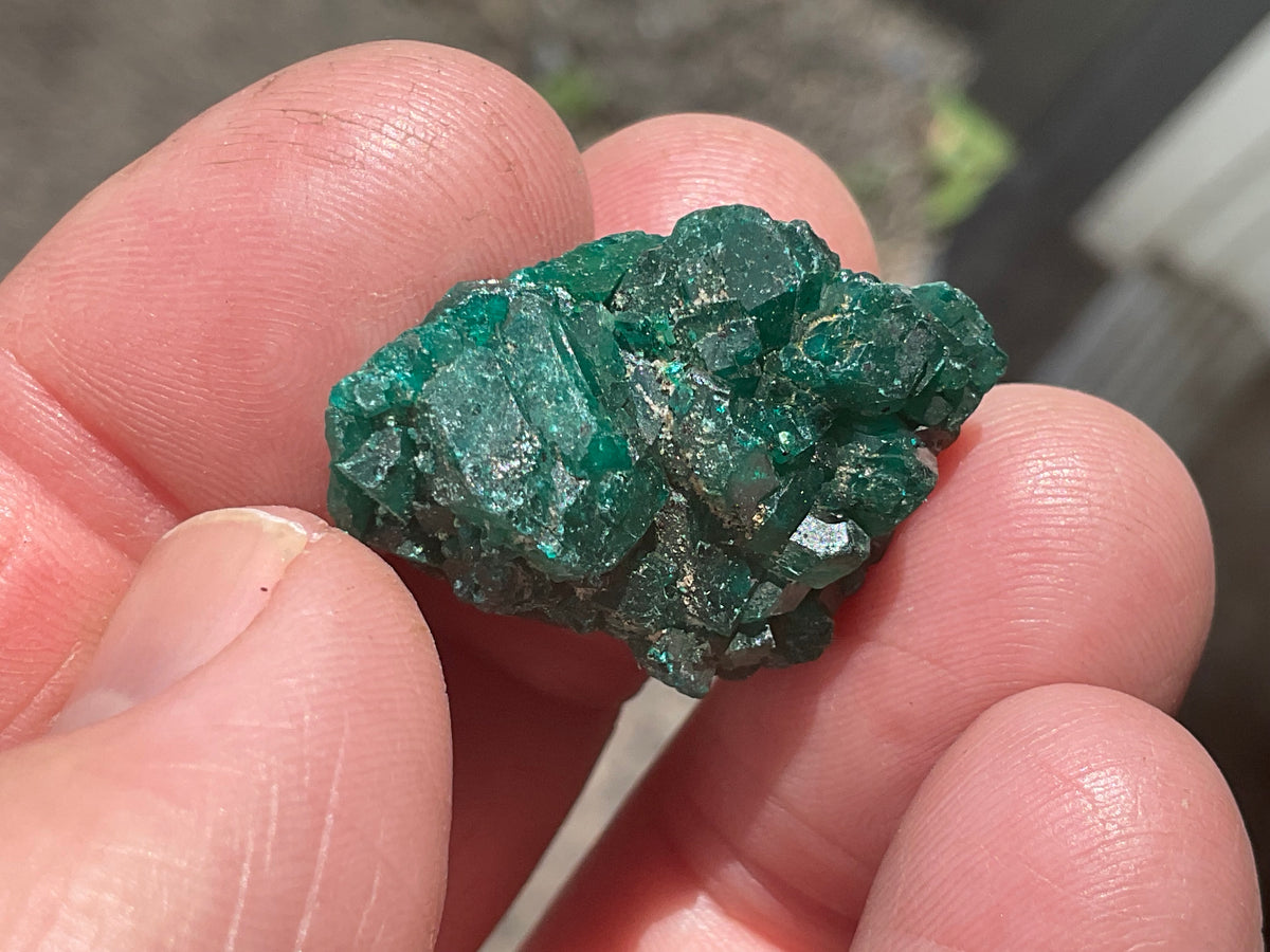 8g Congolese Dioptase Specimen 16B