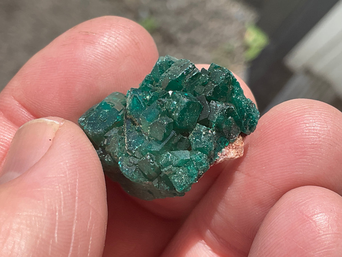 8g Congolese Dioptase Specimen 16B