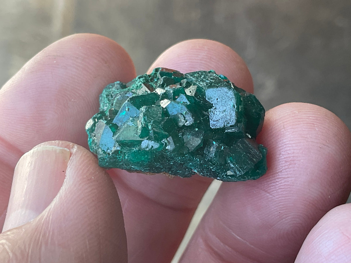 8g Congolese Dioptase Specimen 16C