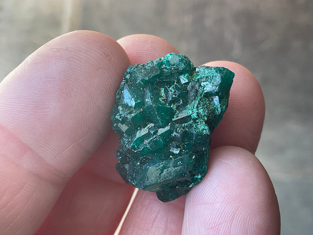8g Congolese Dioptase Specimen 16C