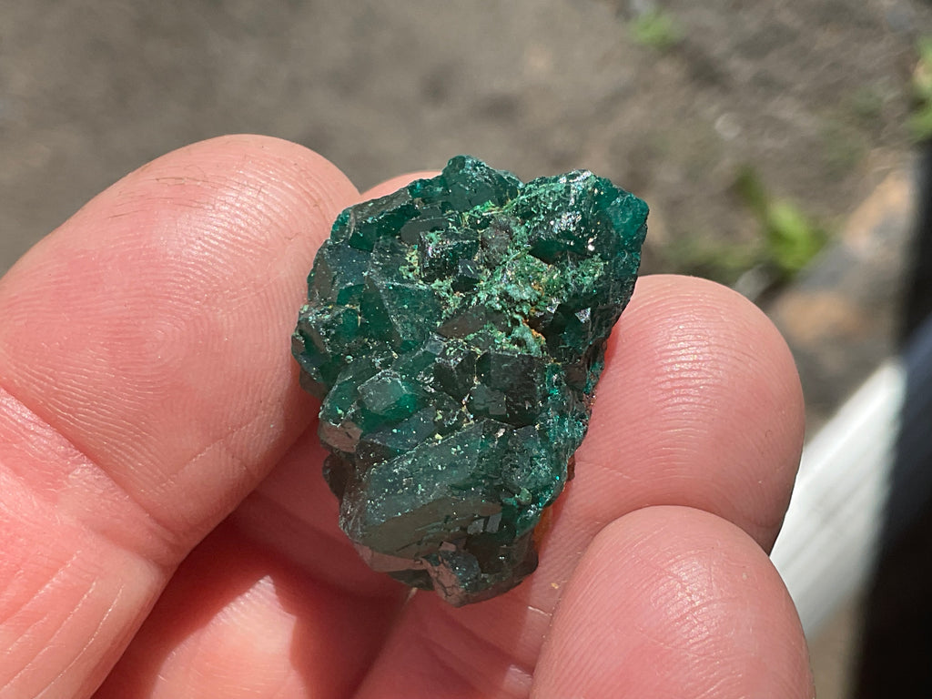 8g Congolese Dioptase Specimen 16C
