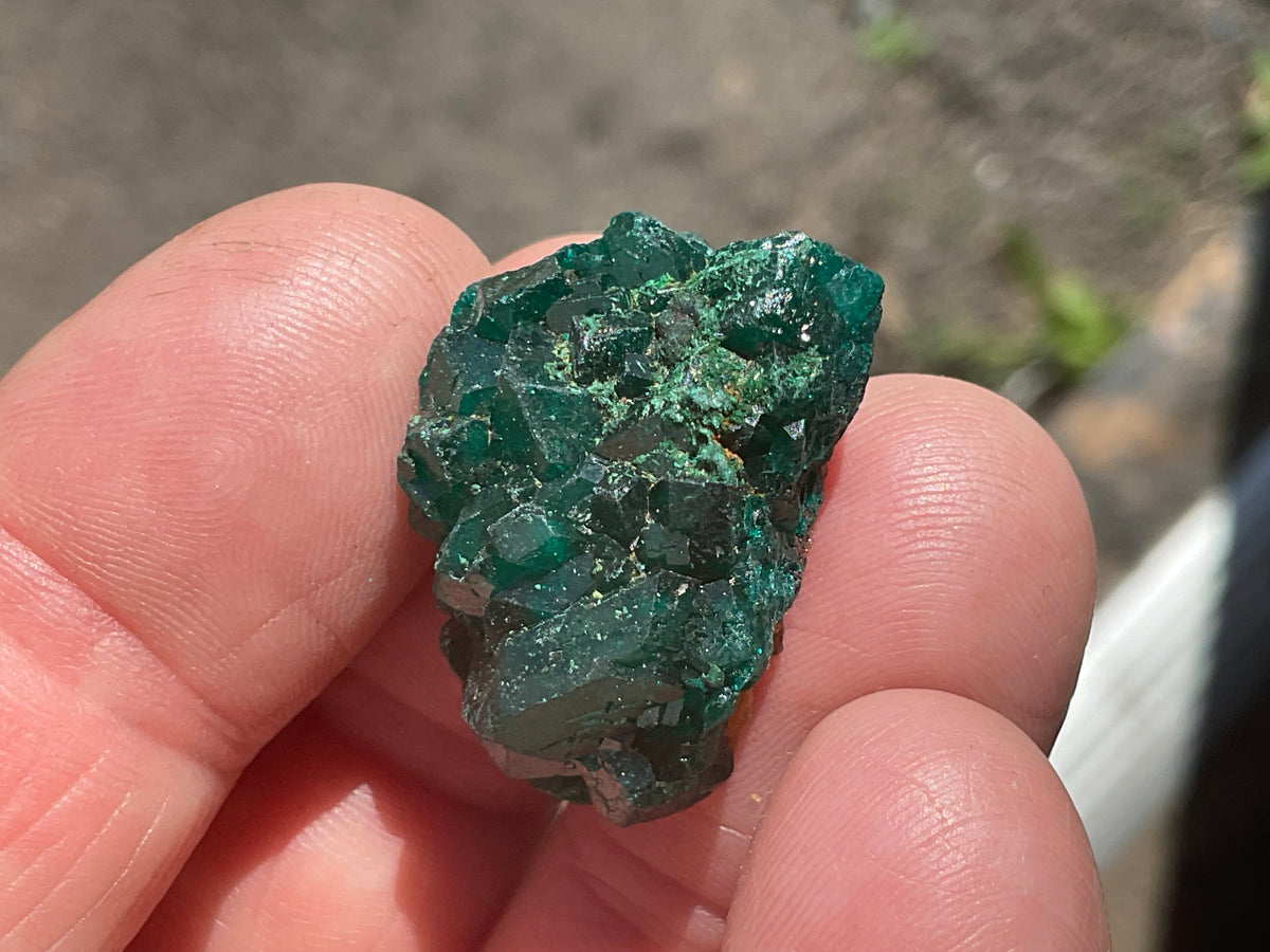 8g Congolese Dioptase Specimen 16C