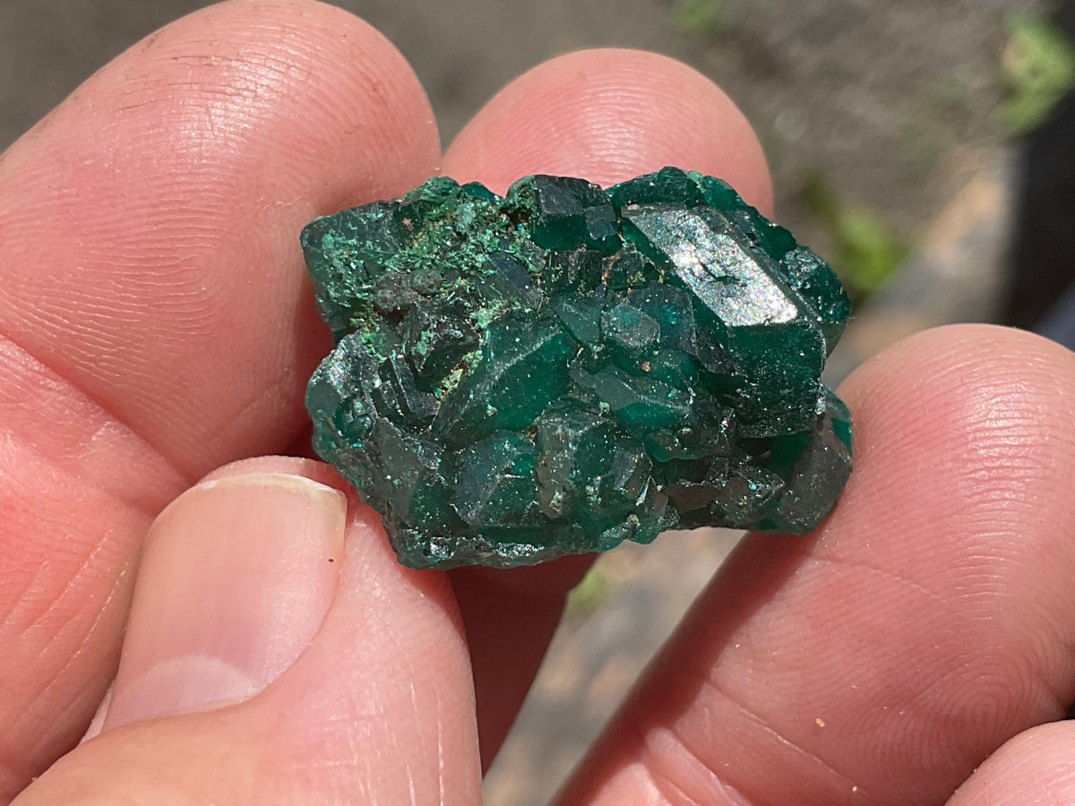 8g Congolese Dioptase Specimen 16C