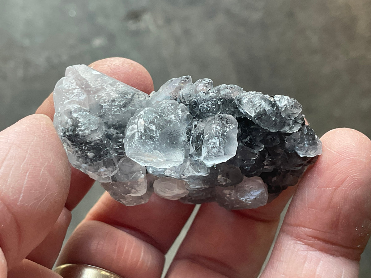 36g Babingtonite ++ Specimen 1C from Sichuan, China