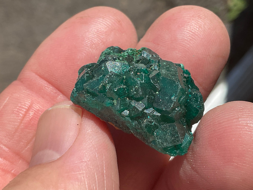 8g Congolese Dioptase Specimen 16C