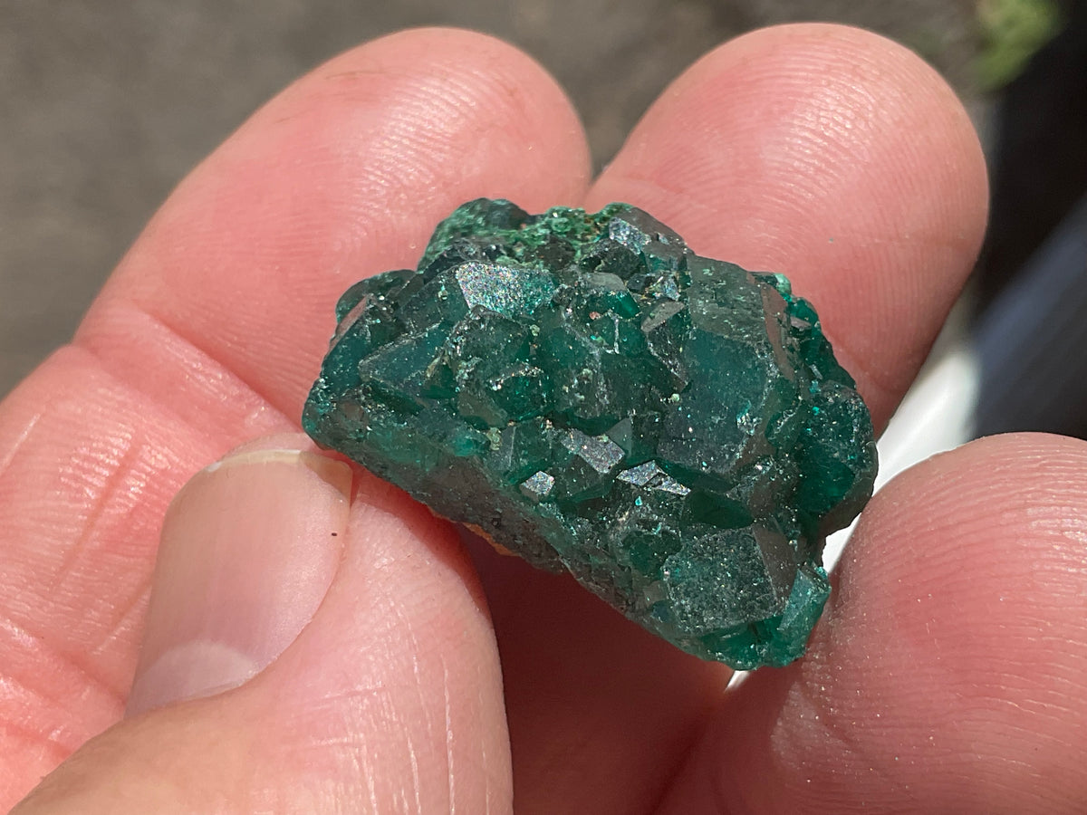 8g Congolese Dioptase Specimen 16C