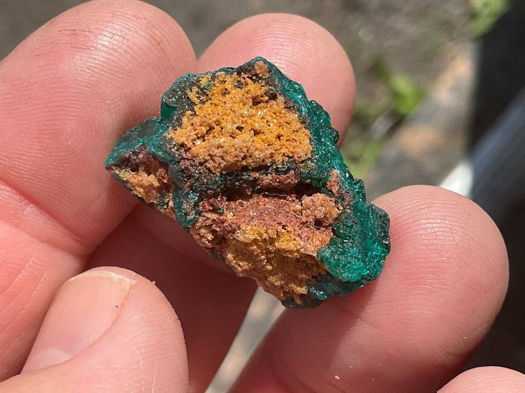 8g Congolese Dioptase Specimen 16C