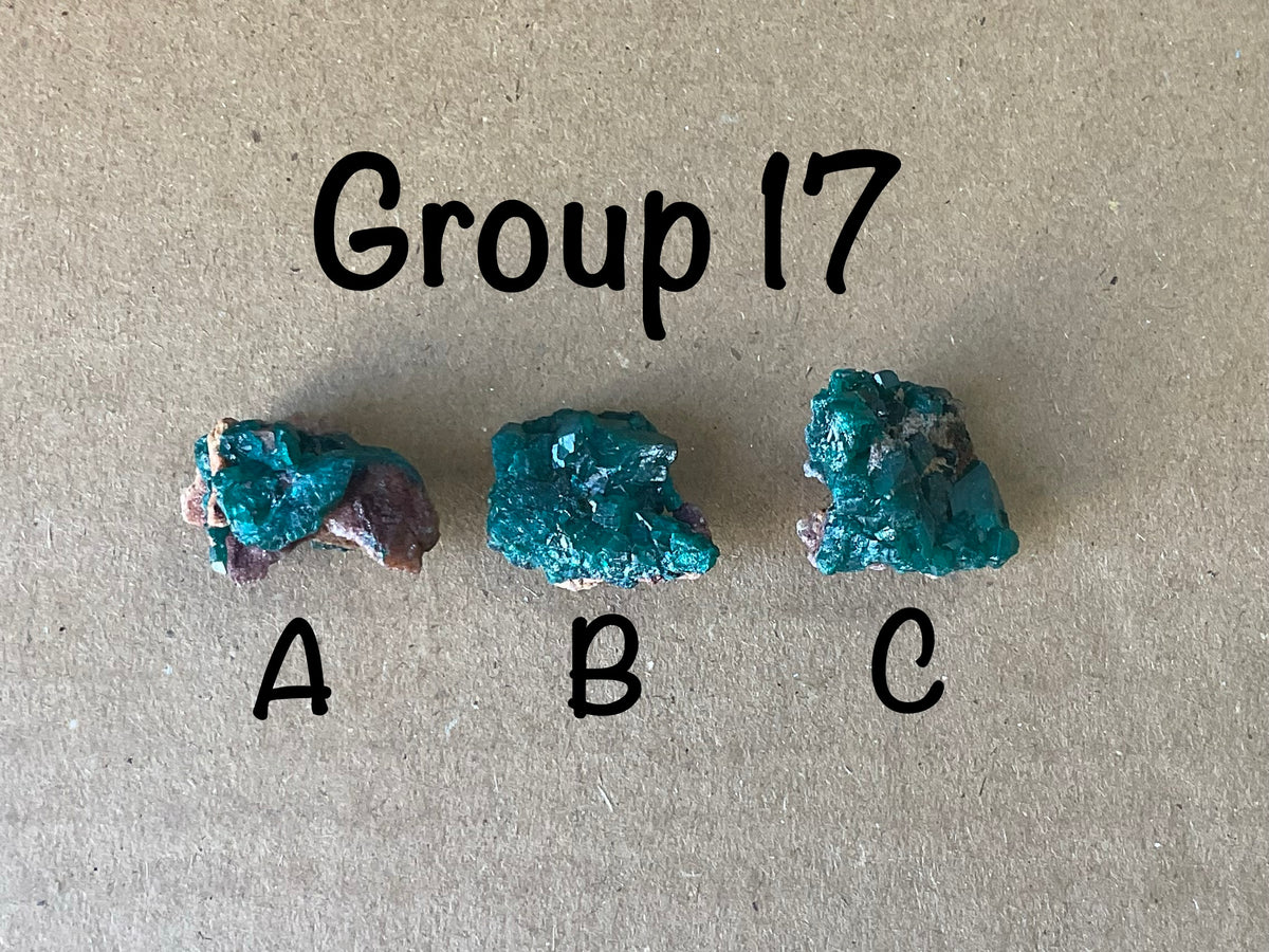 8g Congolese Dioptase Specimen 17B
