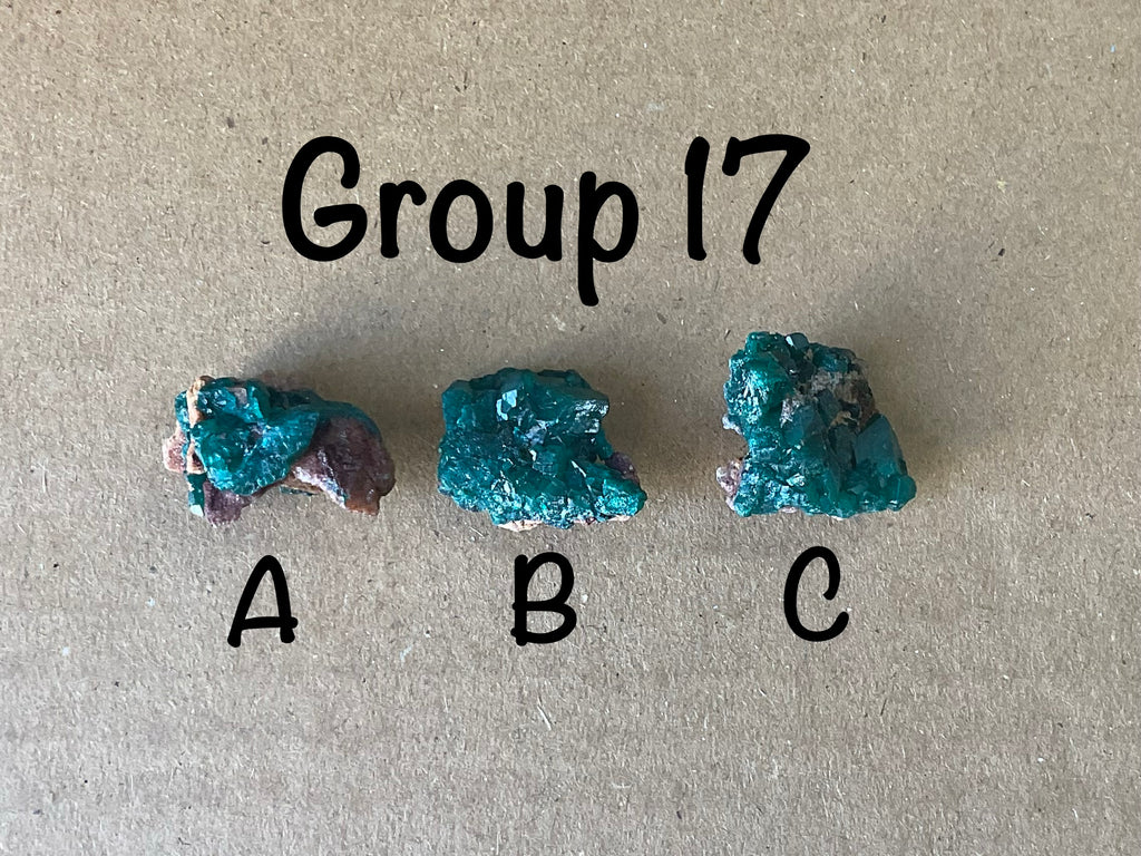 8g Congolese Dioptase Specimen 17A