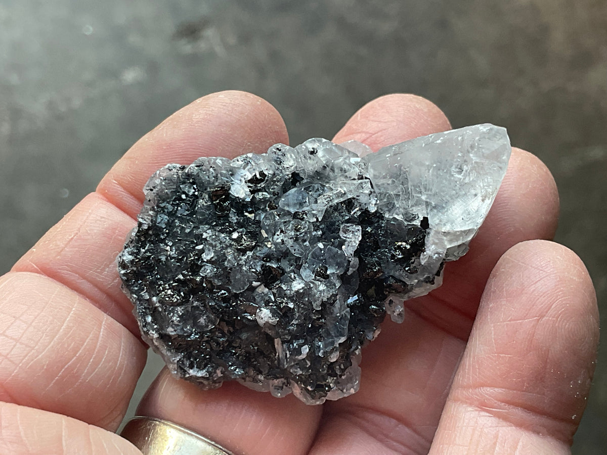 36g Babingtonite ++ Specimen 1C from Sichuan, China