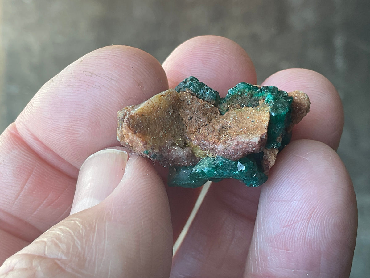 8g Congolese Dioptase Specimen 17A