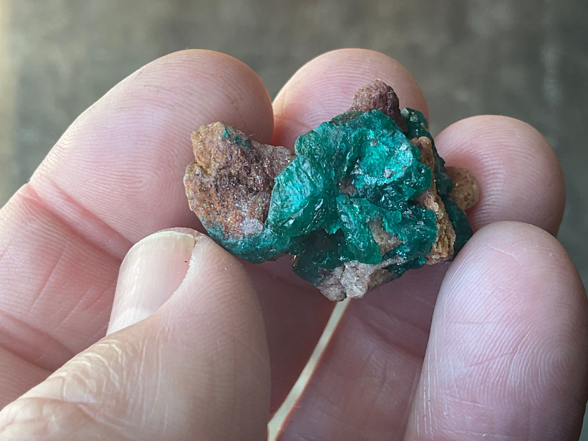 8g Congolese Dioptase Specimen 17A
