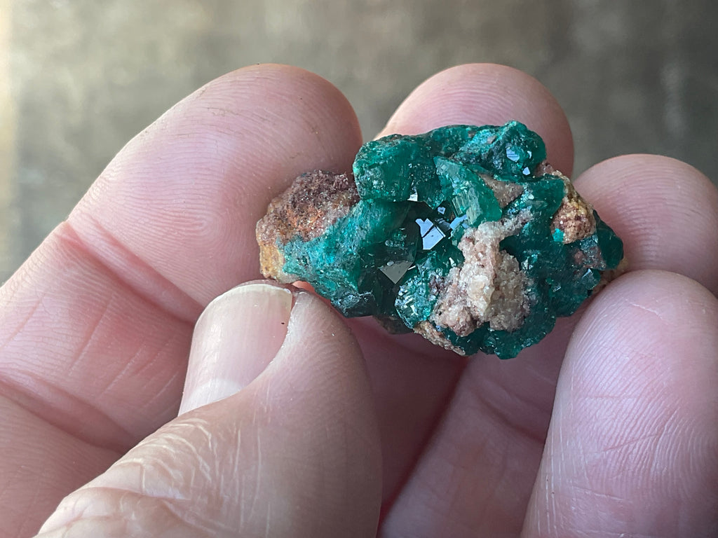 8g Congolese Dioptase Specimen 17A