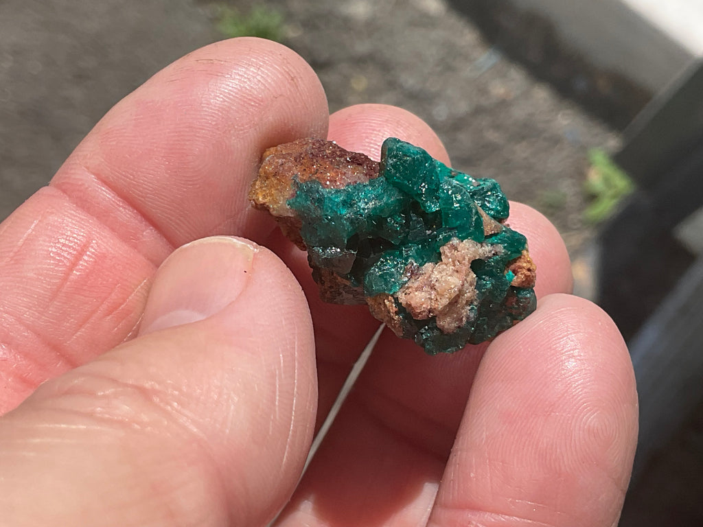 8g Congolese Dioptase Specimen 17A