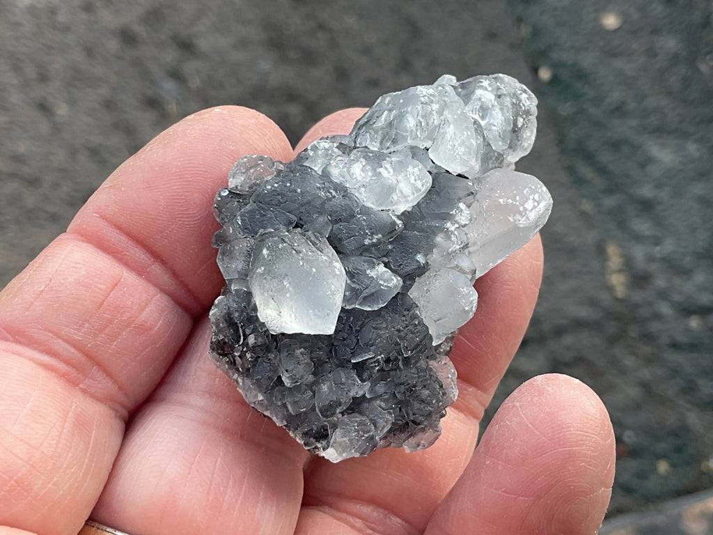 36g Babingtonite ++ Specimen 1C from Sichuan, China