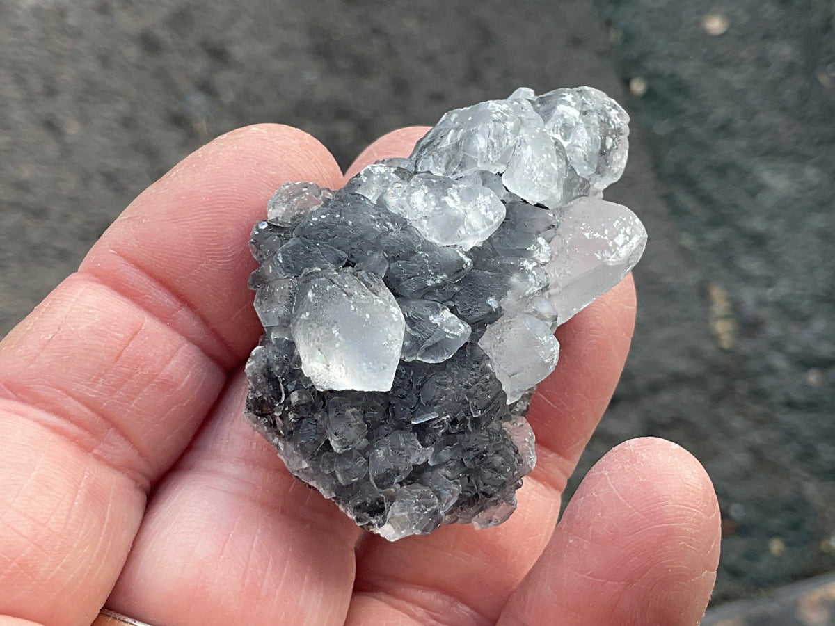 36g Babingtonite ++ Specimen 1C from Sichuan, China