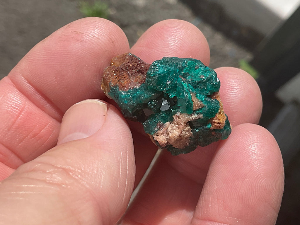 8g Congolese Dioptase Specimen 17A