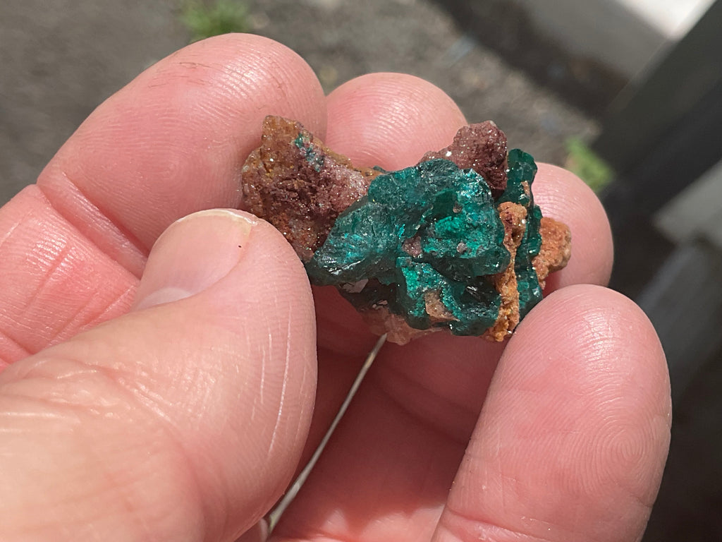 8g Congolese Dioptase Specimen 17A