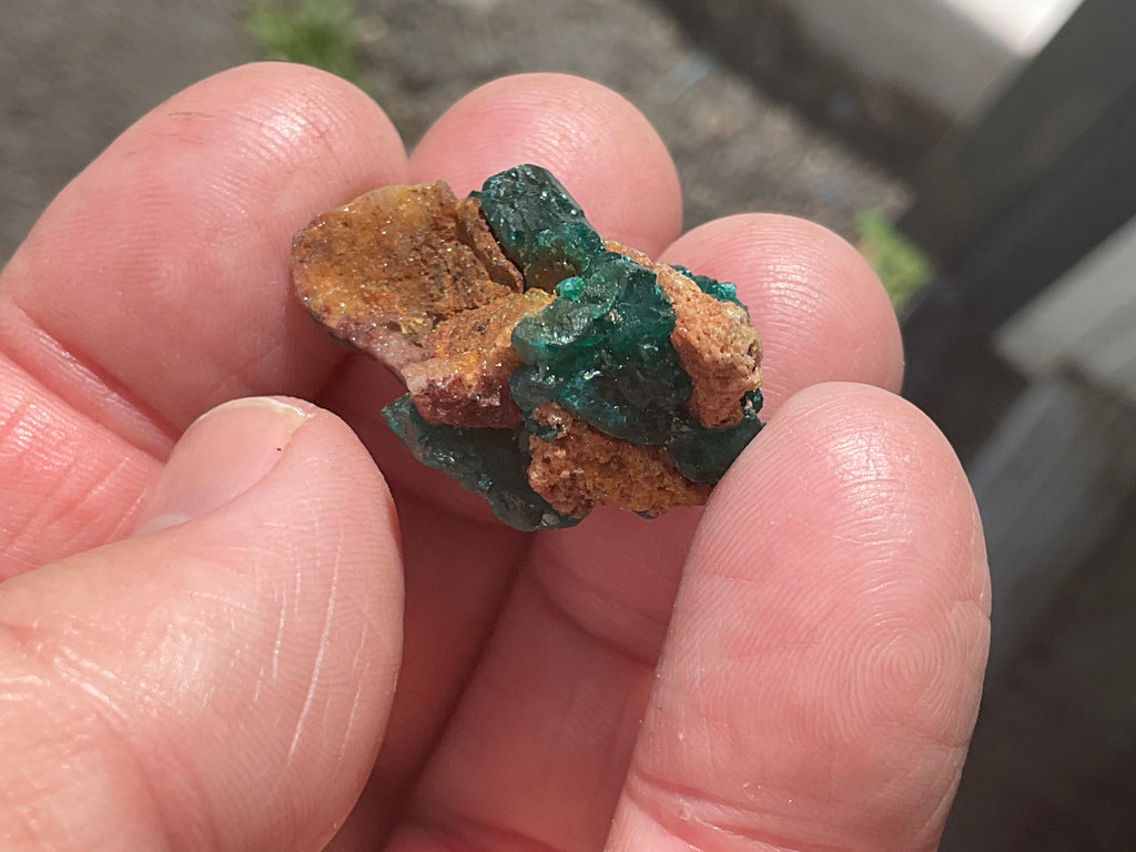 8g Congolese Dioptase Specimen 17A