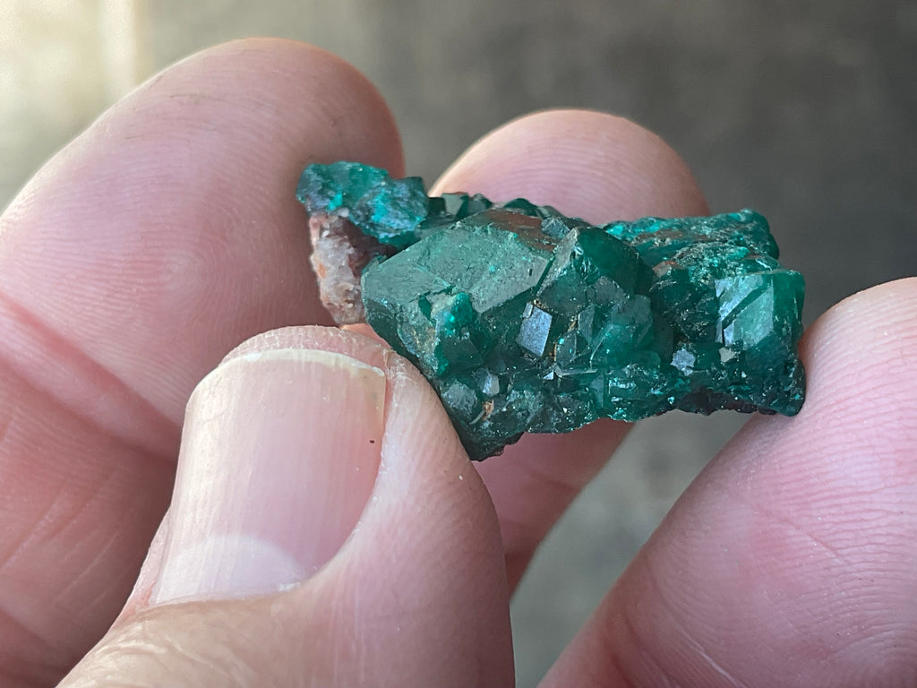 8g Congolese Dioptase Specimen 17B
