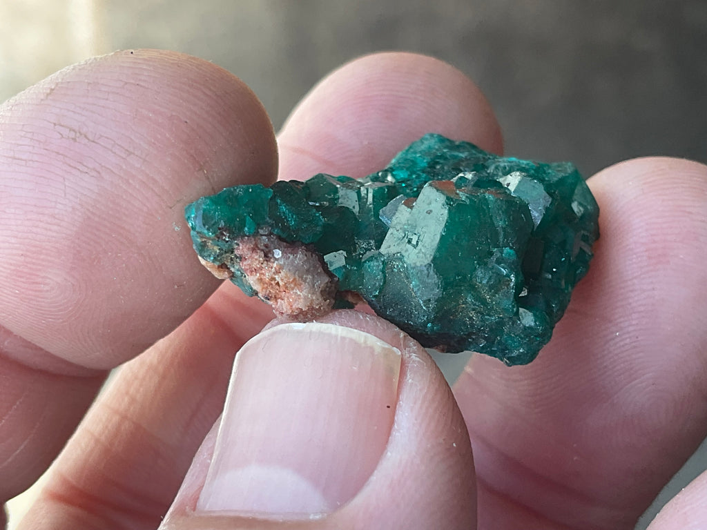 8g Congolese Dioptase Specimen 17B