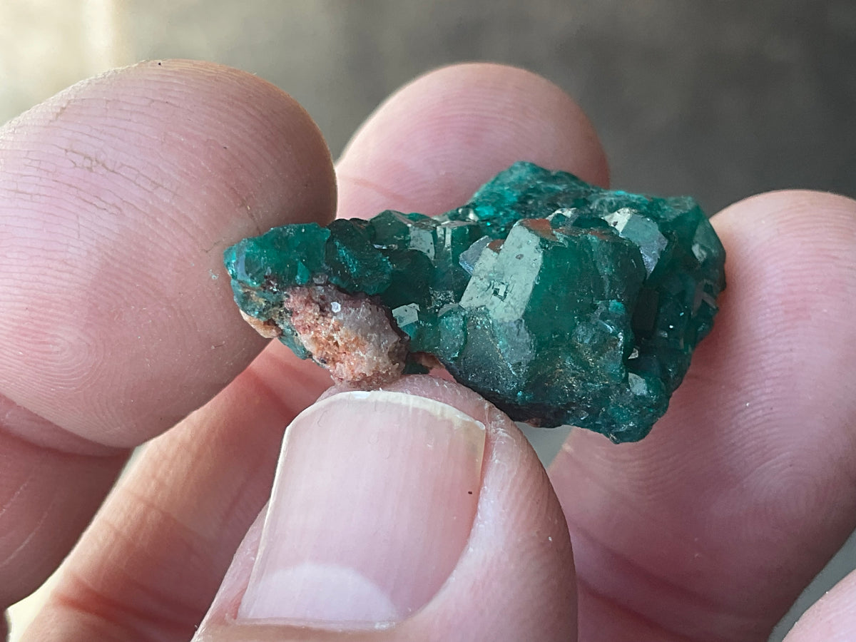 8g Congolese Dioptase Specimen 17B