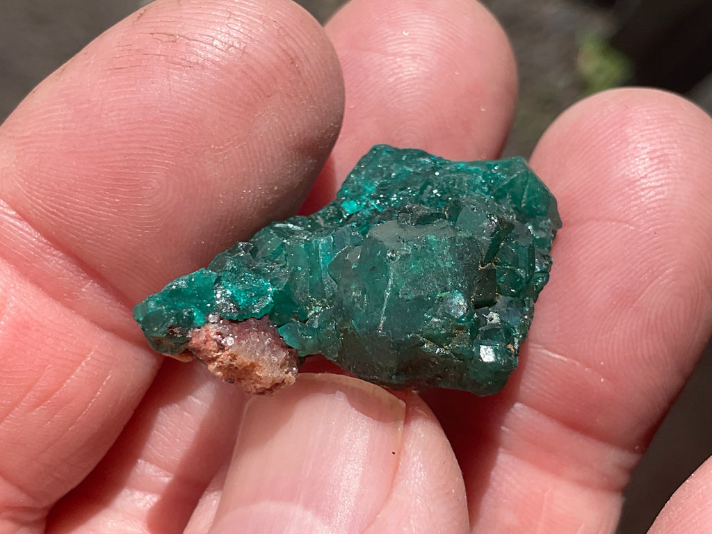 8g Congolese Dioptase Specimen 17B