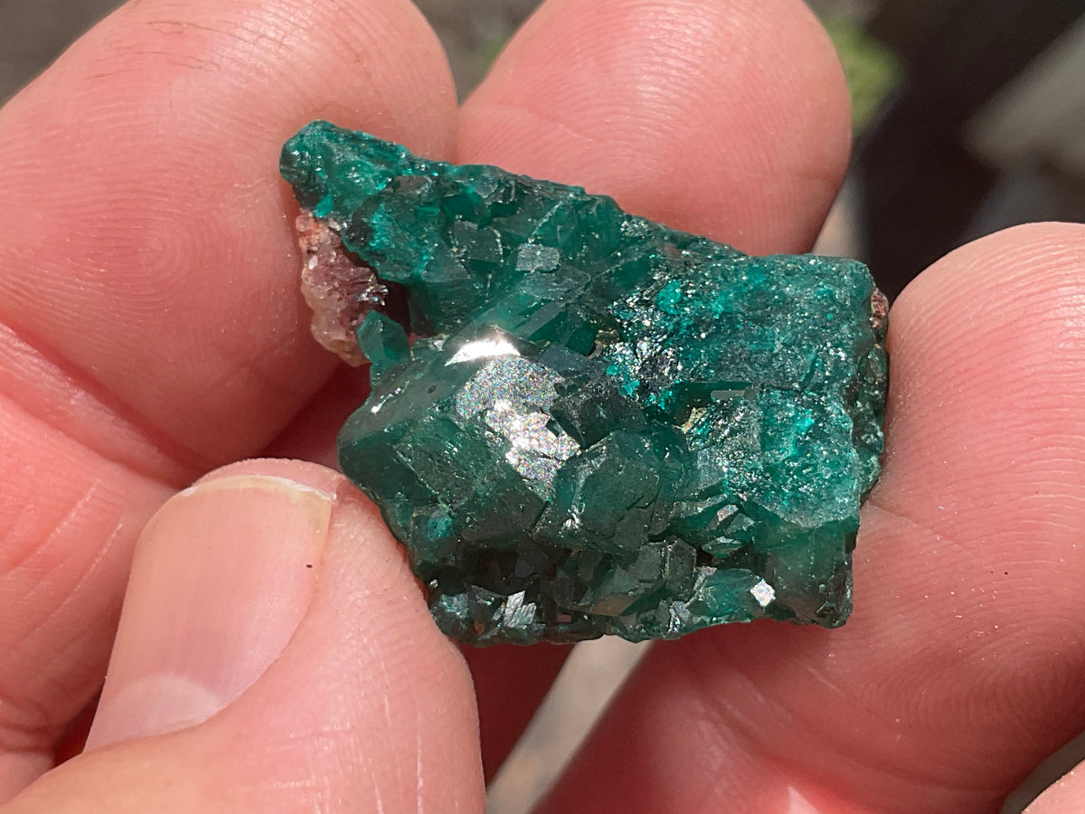 8g Congolese Dioptase Specimen 17B