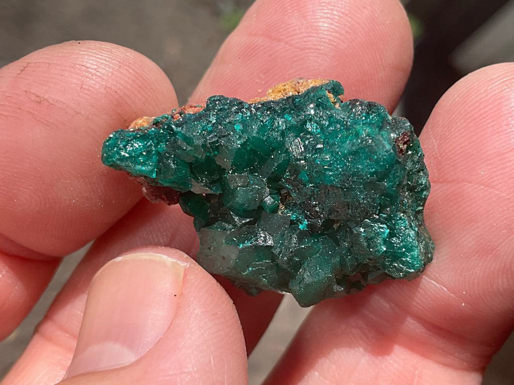 8g Congolese Dioptase Specimen 17B